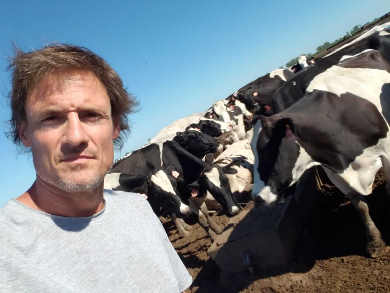 TAPA Con las vacas de fondo