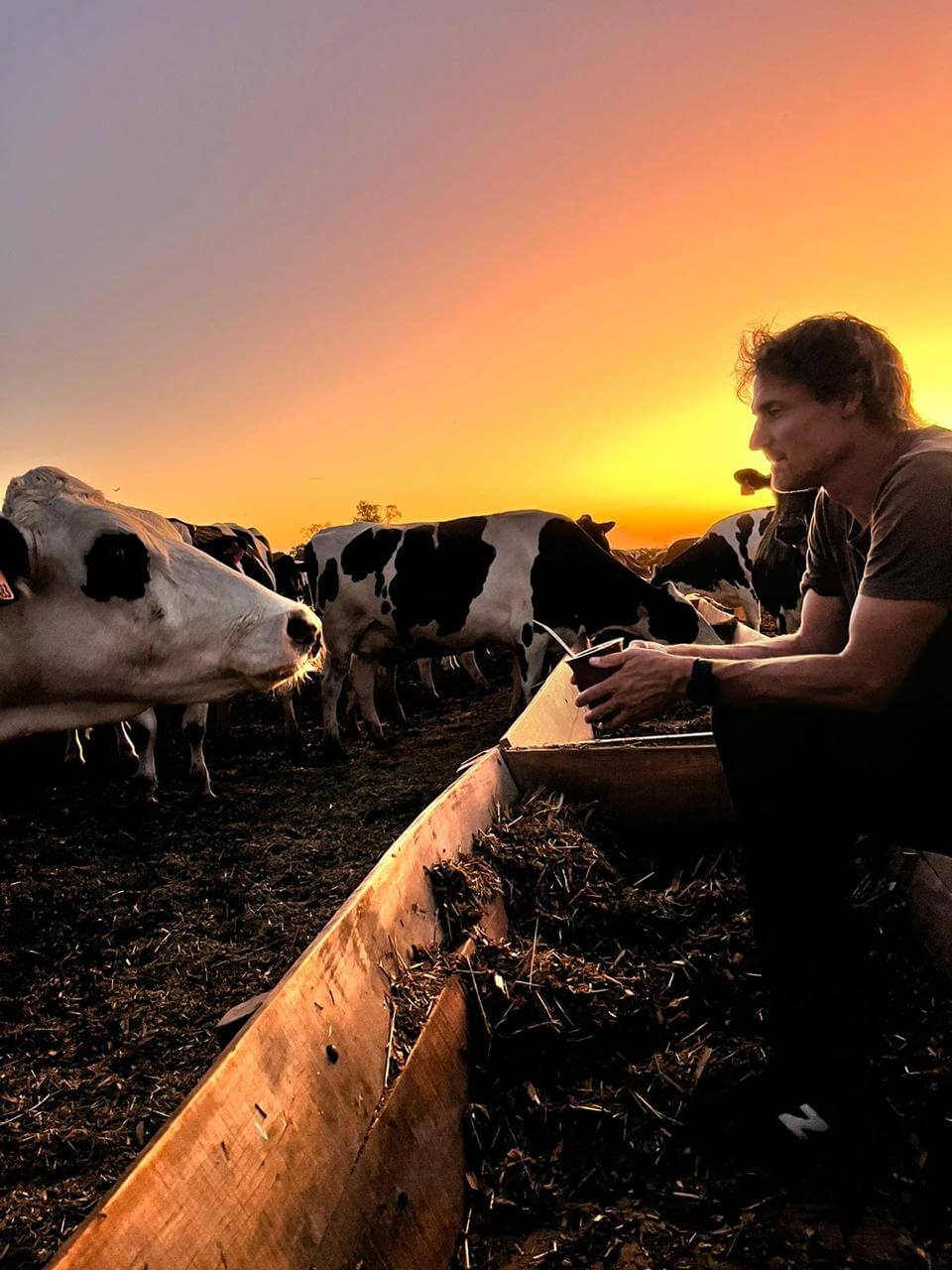 Tomas y las vacas05